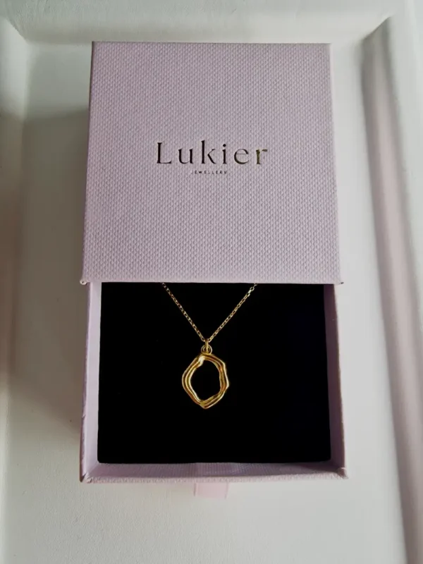 naszyjnik z nieregularną zawieszką w pudełku naszyjnik z nieregularną zawieszką w pudełku