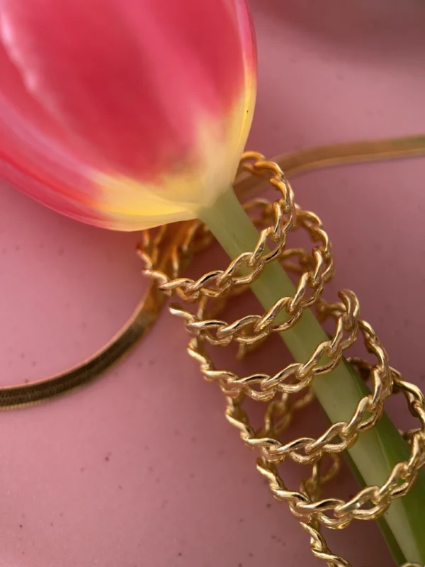 pierscionki pancerka pierścionki pancerka zawieszone na łodydze tulipana